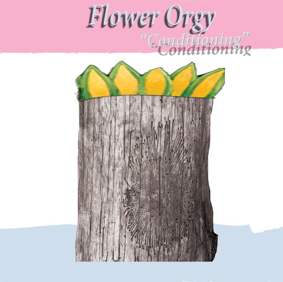 Flower Orgy: Conditioning